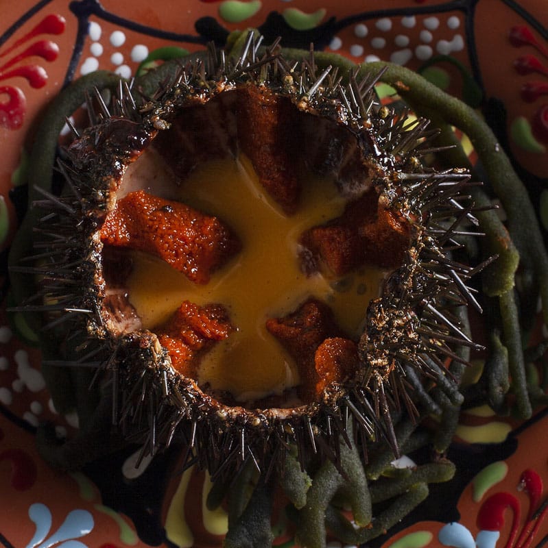 Plato Culuca